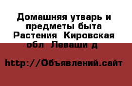 Домашняя утварь и предметы быта Растения. Кировская обл.,Леваши д.